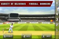 Tap Cricket 2013 Screen Shot 3