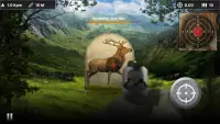 Deer Target Shooting Screen Shot 1