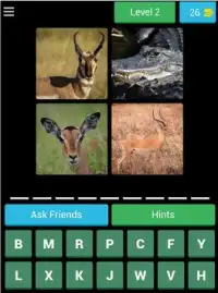 Guess The Different Animals Screen Shot 8