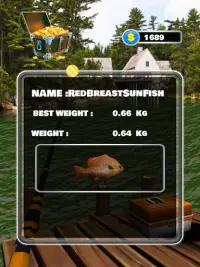 Real Fishing Ace Pro Screen Shot 4