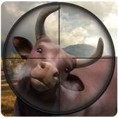 Bull Hunting - Angry Bulls Shooting