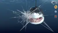 Talking Great White : My Pet Shark - Free Screen Shot 4