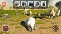 Leopard Game 3D - Симулятор для животных Safari Screen Shot 3