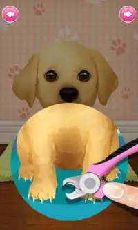 Pet Salon - Best Free Pet Game Screen Shot 2