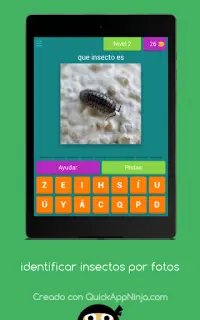 identificar insectos por fotos quiz Screen Shot 6