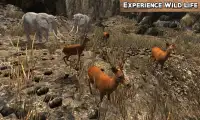 Wild Life Animals Adventure Screen Shot 2