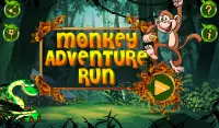 Monkey Adventure Run Screen Shot 5
