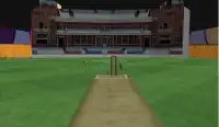 Gerçek Kriket Dışarı koşmak şampiyonluk Screen Shot 2