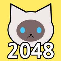 Cat 2048