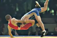 Wrestling Training Videos Screen Shot 0