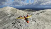 PicaSim: Free flight simulator Screen Shot 15
