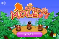 Mole's Kingdom Screen Shot 0