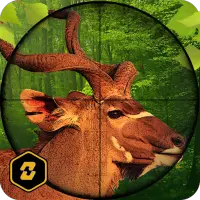 Animal Hunting Wild Adventure Safari Animals game Screen Shot 7