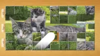 Cat Puzzles - Drag & Swap Screen Shot 6