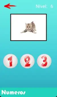 P-keland - Jugar aprendiendo, juegos infantiles Screen Shot 1