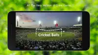 Cricket Balls Screen Shot 0