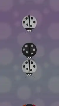 Ladybird Piano Tiles Screen Shot 4