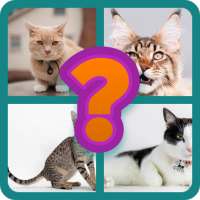 Animals quiz :Guess the animal name