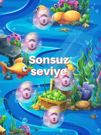 Fish Tiles Mozaik Mantık Oyunu Screen Shot 10