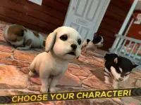 Puppies! Dogs and Cats Game Screen Shot 5