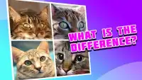 4 pictures 1 odd:cat & kitten, find the difference Screen Shot 0
