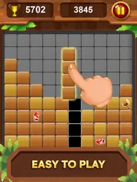 Hout blok Legende - Blokkeer Puzzel Screen Shot 8