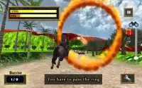 Horse Race Jumping Quest - iHorse Championship Screen Shot 0