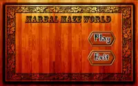 Marbal Maze World Screen Shot 3