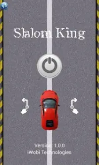 Slalom King Screen Shot 0