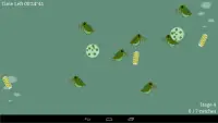 Daphnia Catcher Screen Shot 2