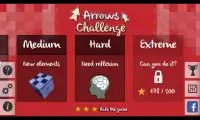 Arrows Challenge Screen Shot 0