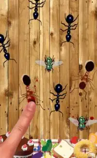 Kill Ants Bug - Game For Kids Screen Shot 2