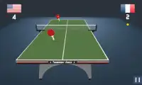 Awesome 3D Table Tennis Screen Shot 2