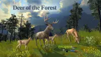 Deer of the Forest Screen Shot 0