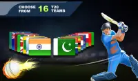 Cricket Champions Screen Shot 5