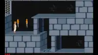 Guide Prince of Persia Screen Shot 1