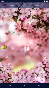 Cherry Blossom Live Wallpaper Screen Shot 3