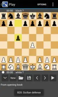 Chess Free 2 Player, Computer Screen Shot 1