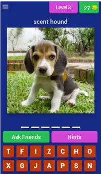Dog Breed Quiz Game (Dog Game) Screen Shot 2