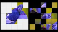 Birds Jigsaw Puzzle   LWP Screen Shot 2