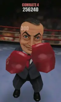 ZPunch! Boxing Lite Screen Shot 2