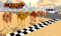 gurun unta hewan 3d balap Screen Shot 0