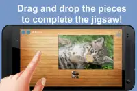 Cat and Kitten Jigsaw Puzzles Screen Shot 3