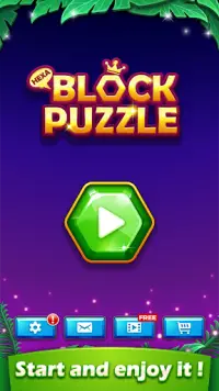 Hexa Block Puzzle - Classic Block Games Screen Shot 5