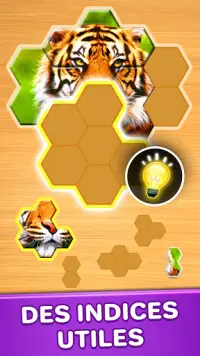 Puzzles: Jigsaw Puzzles Hexa Screen Shot 2