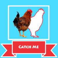 Catching Game - Catch The Chicken 2020