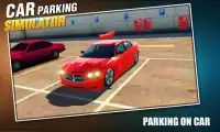 Parking multi-stationnement 2017 Screen Shot 0