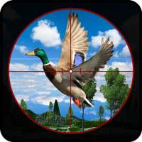 Real Archery Birds hunter Jungle Bird Shooting 19