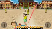 World Street Cricket 2020 Screen Shot 4