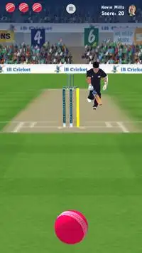 iB Cricket Companion Screen Shot 5